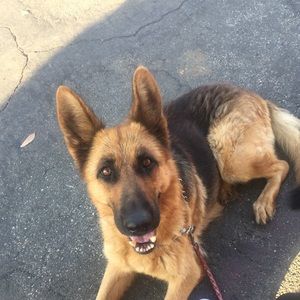 Meet your Posher, Serena